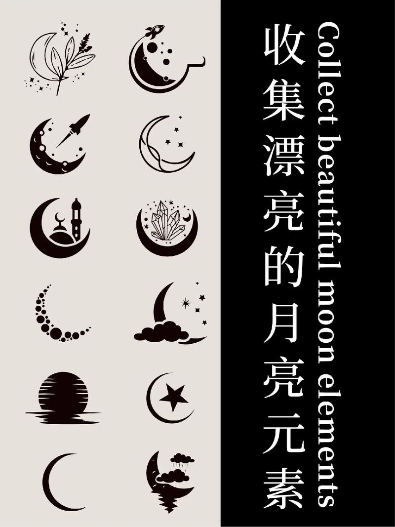 月亮直播app下载官网