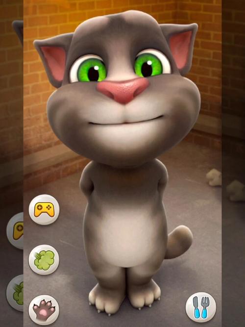 会说话的tom猫下载