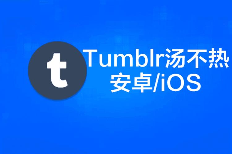 汤不热视频下载