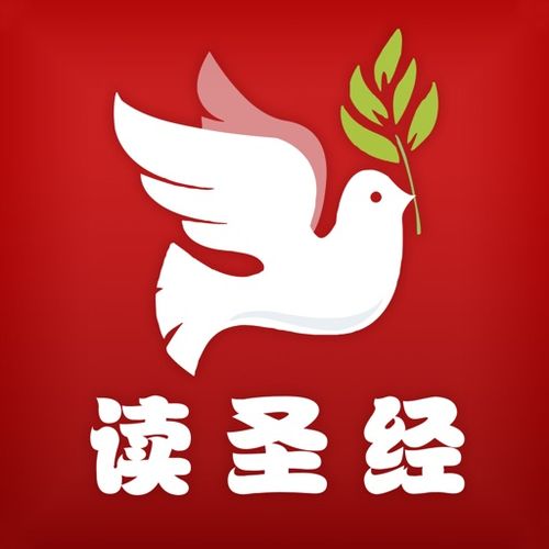 圣经免费阅读2026