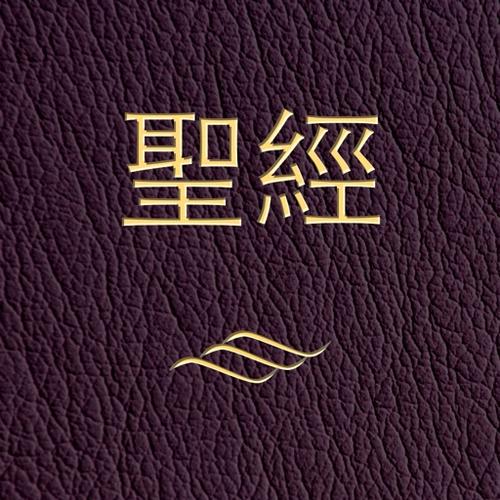 微圣经下载2026