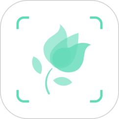 植物识别app官方下载2026