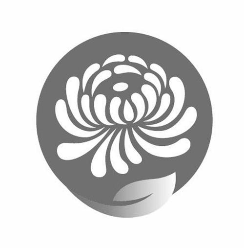 菊花软件