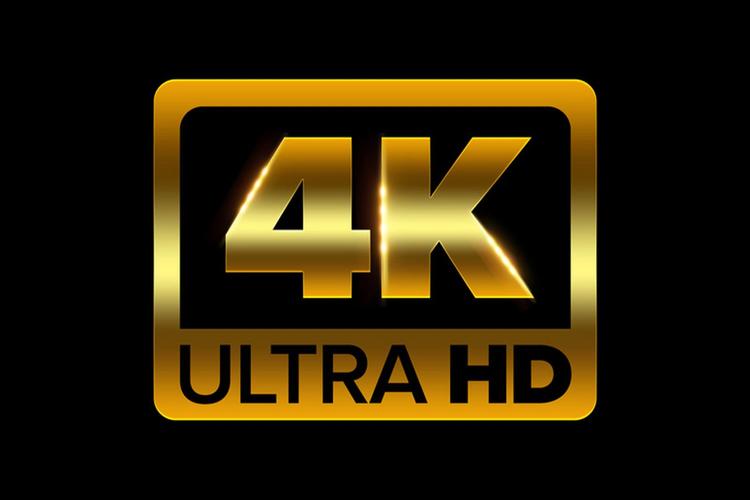 龙王4K软件免费下载