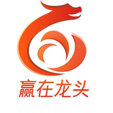 赢在龙头决策版下载