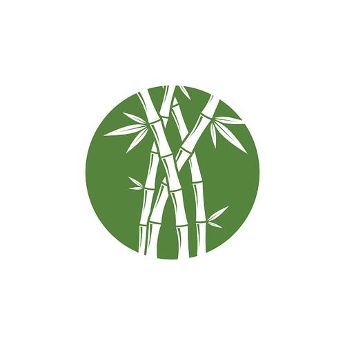 竹叶视频最新版