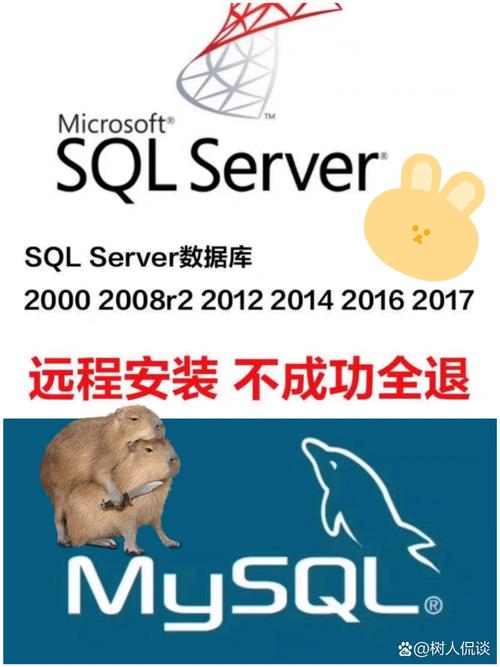 sql server2005下载2026