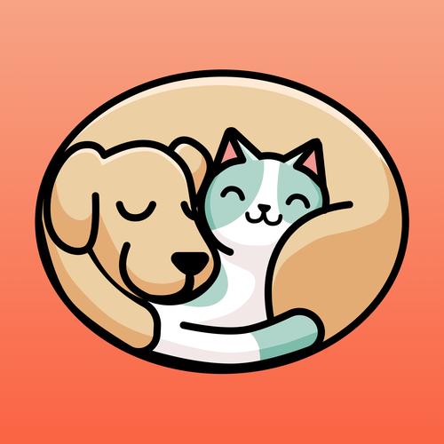 贪玩猫2026