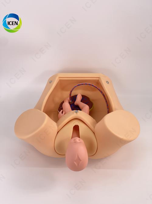 3D模拟器2026