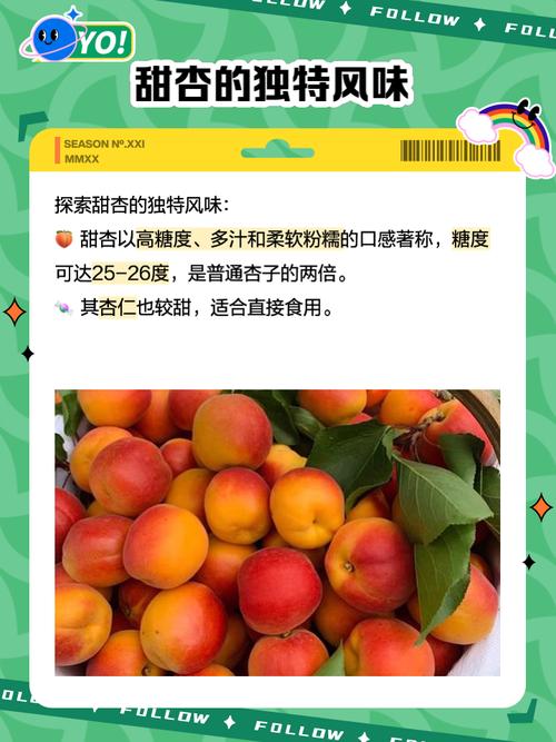 甜杏视频下载免费