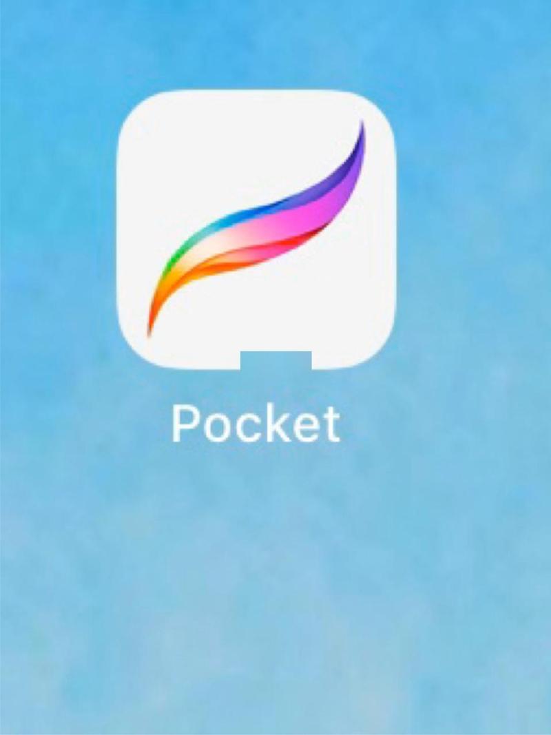pocket