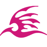 飞极速在线手机版