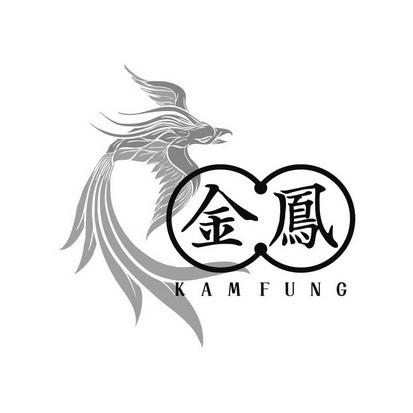 金凤app最新版下载