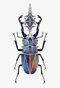 角虫绘图app下载