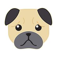 小狗宝盒app免费版下载