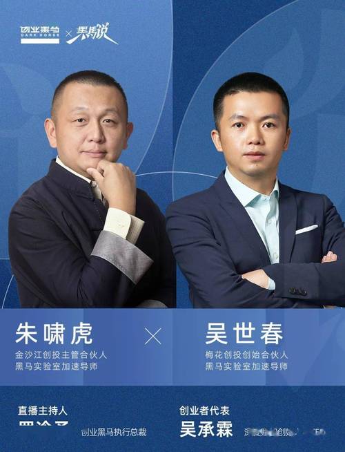 中国合伙人下载