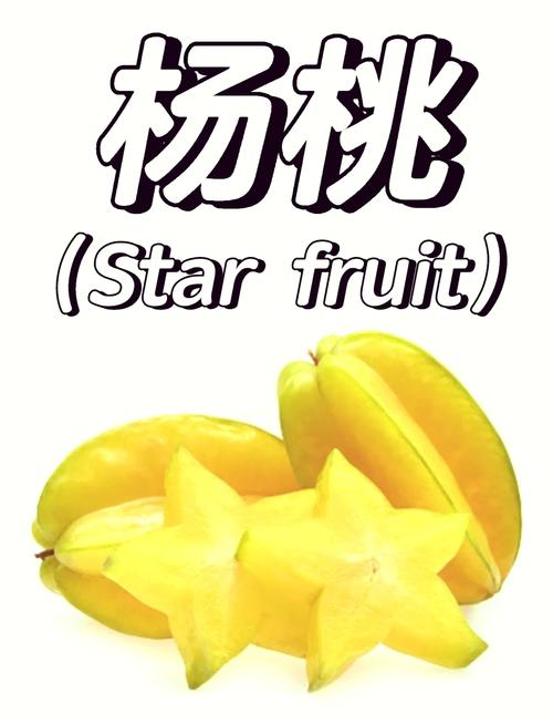 杨桃视频下载免费