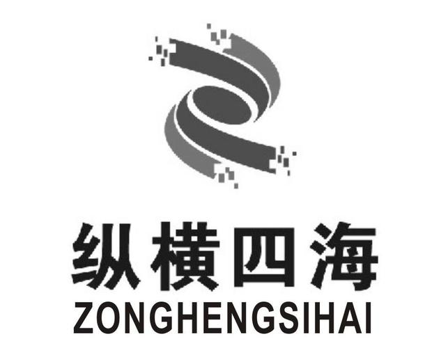 纵横四海下载2026