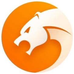 猎豹浏览器手机版