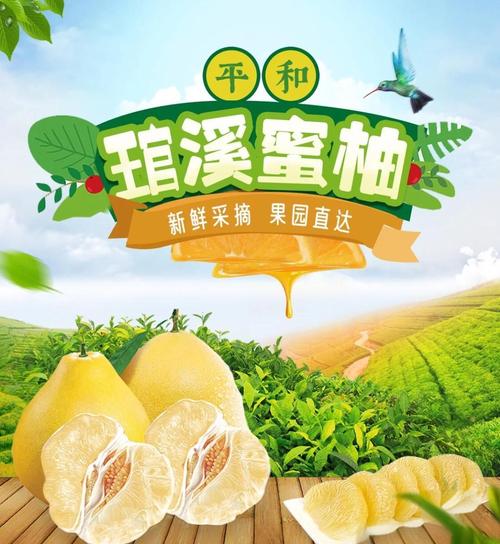 蜜柚视频最新版