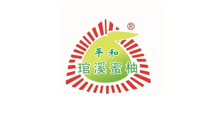 蜜柚软件手机版