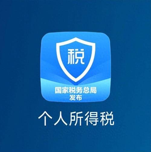 个人所得税下载app2026
