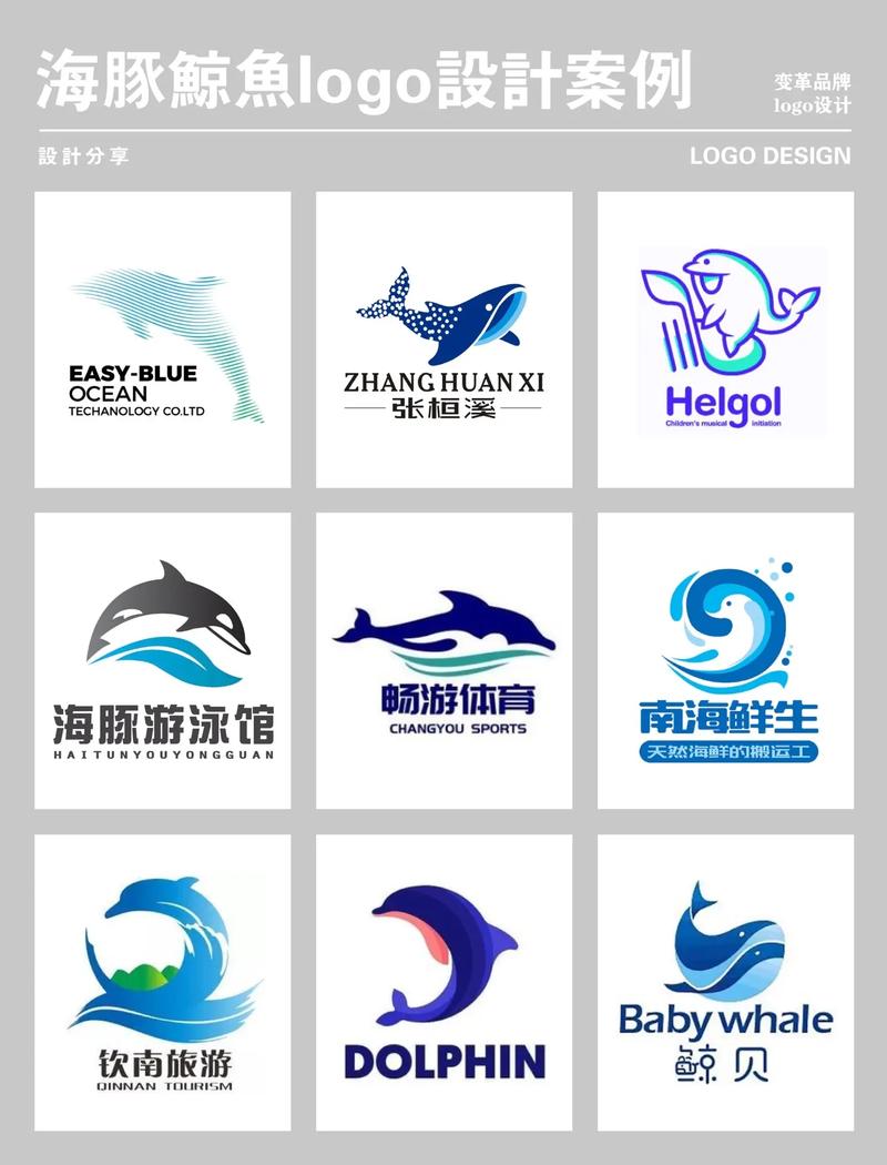 海豚app
