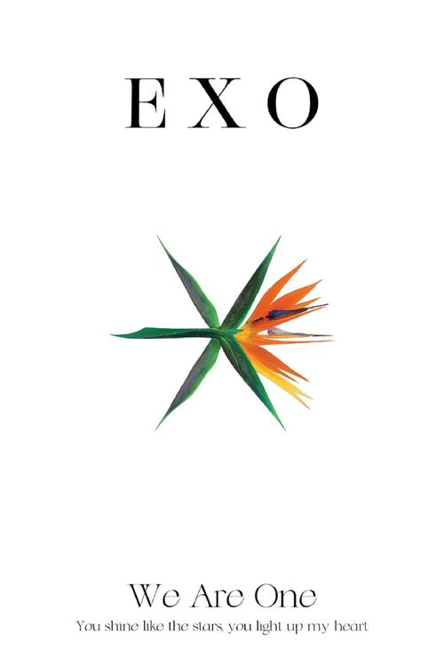 口袋exo
