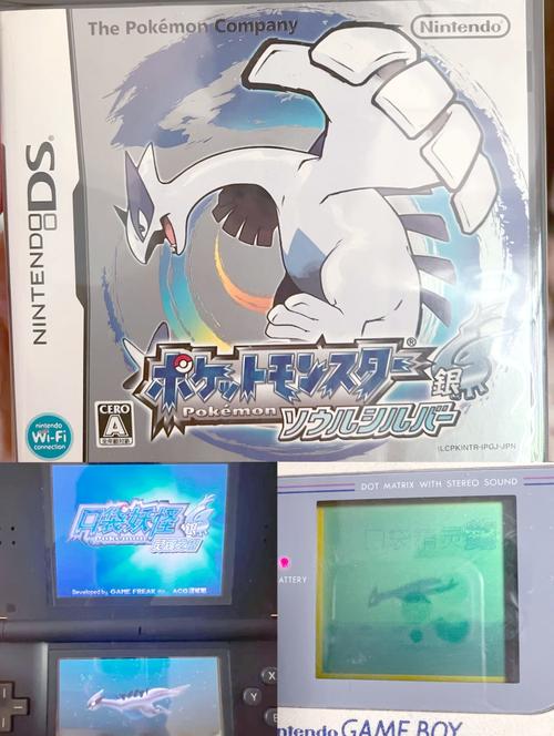 口袋妖怪银魂2026