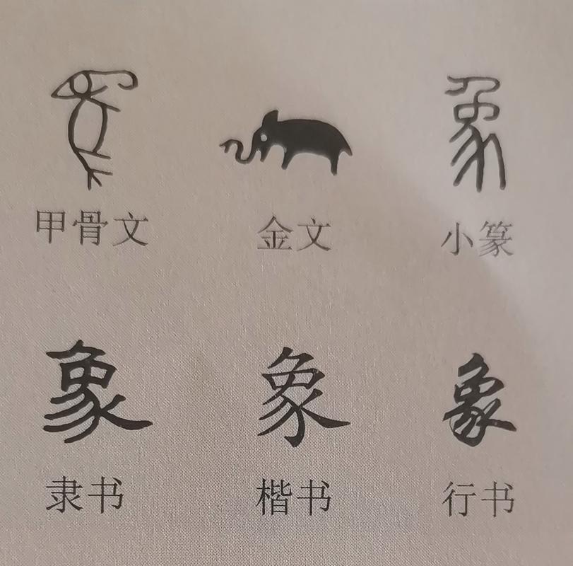 象形字典2026