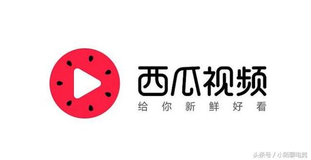 西瓜直播安卓版