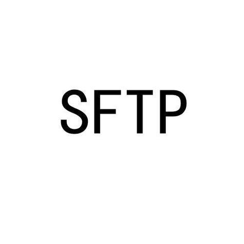 sftp下载2026