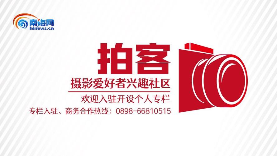 拍客2026