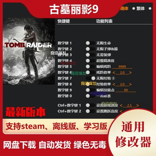 古墓丽影9修改器