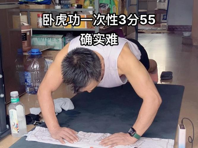 卧虎下载