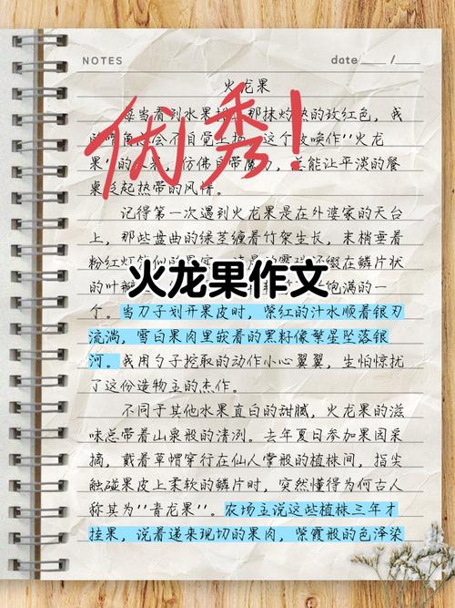 火龙果写作