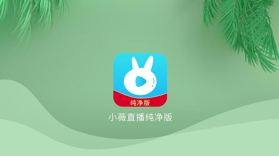 小薇直播app官方下载