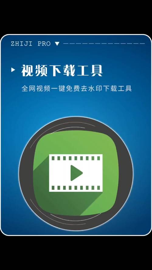 网络视频下载器