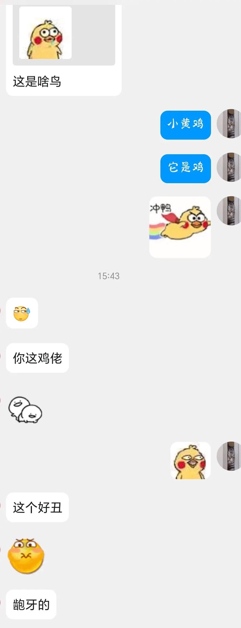 小黄鸡聊天