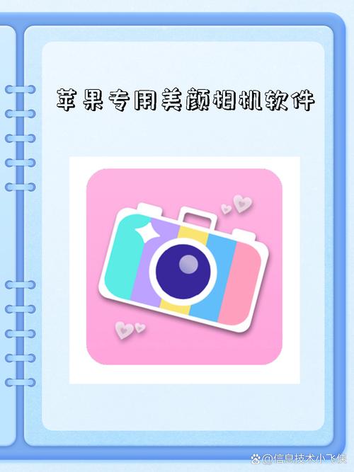 美颜相机ipad下载