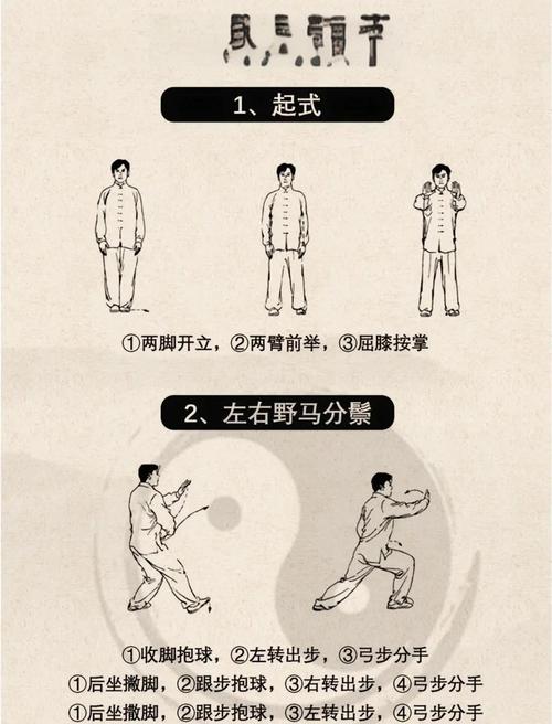 24式太极拳视频下载