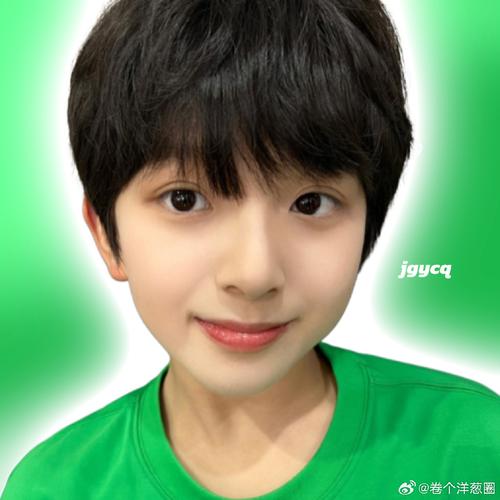 tf家族洋葱下载