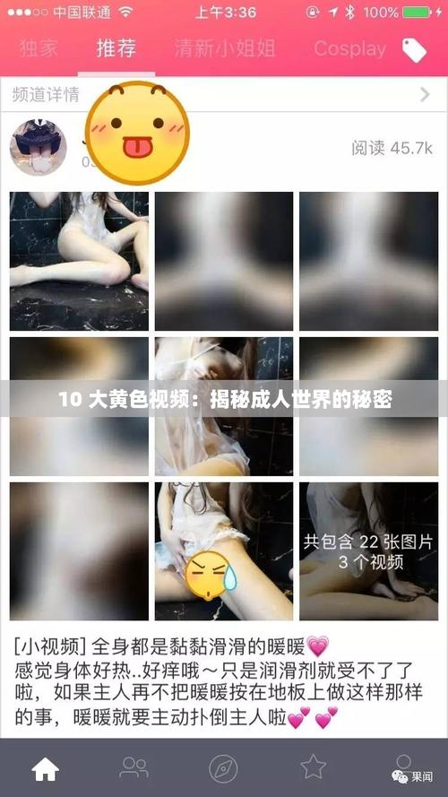 视频成人版