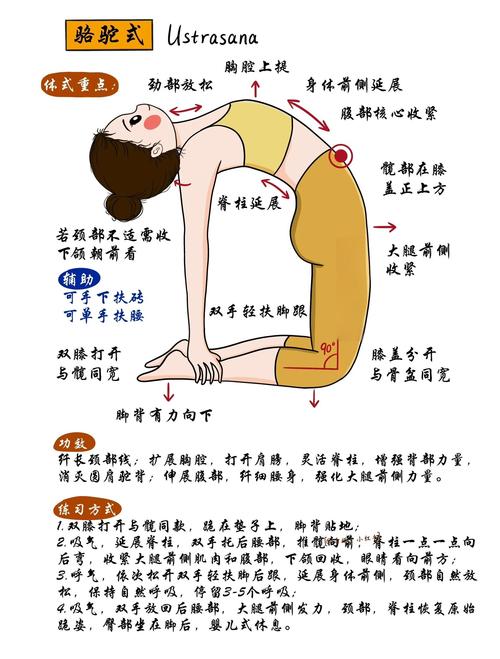 瑜伽视频教程迅雷下载