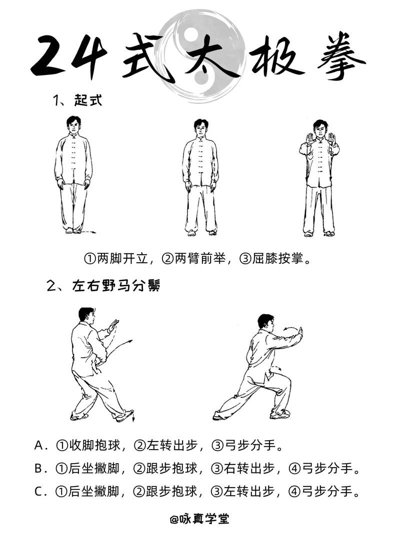 太极拳24式视频下载