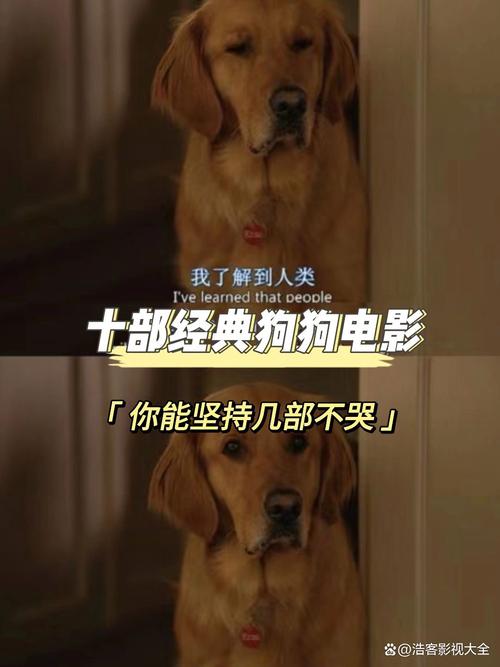 狗狗影视在线观看