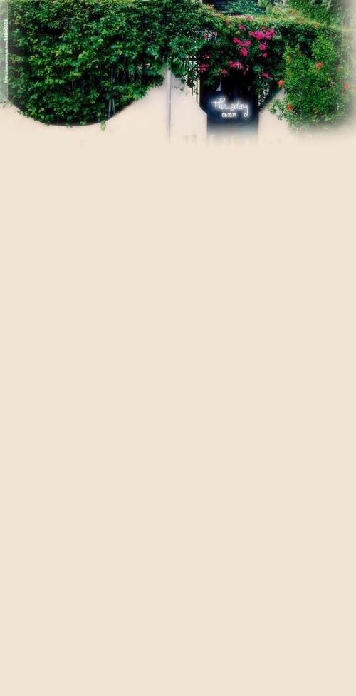 qq外观皮肤透明下载