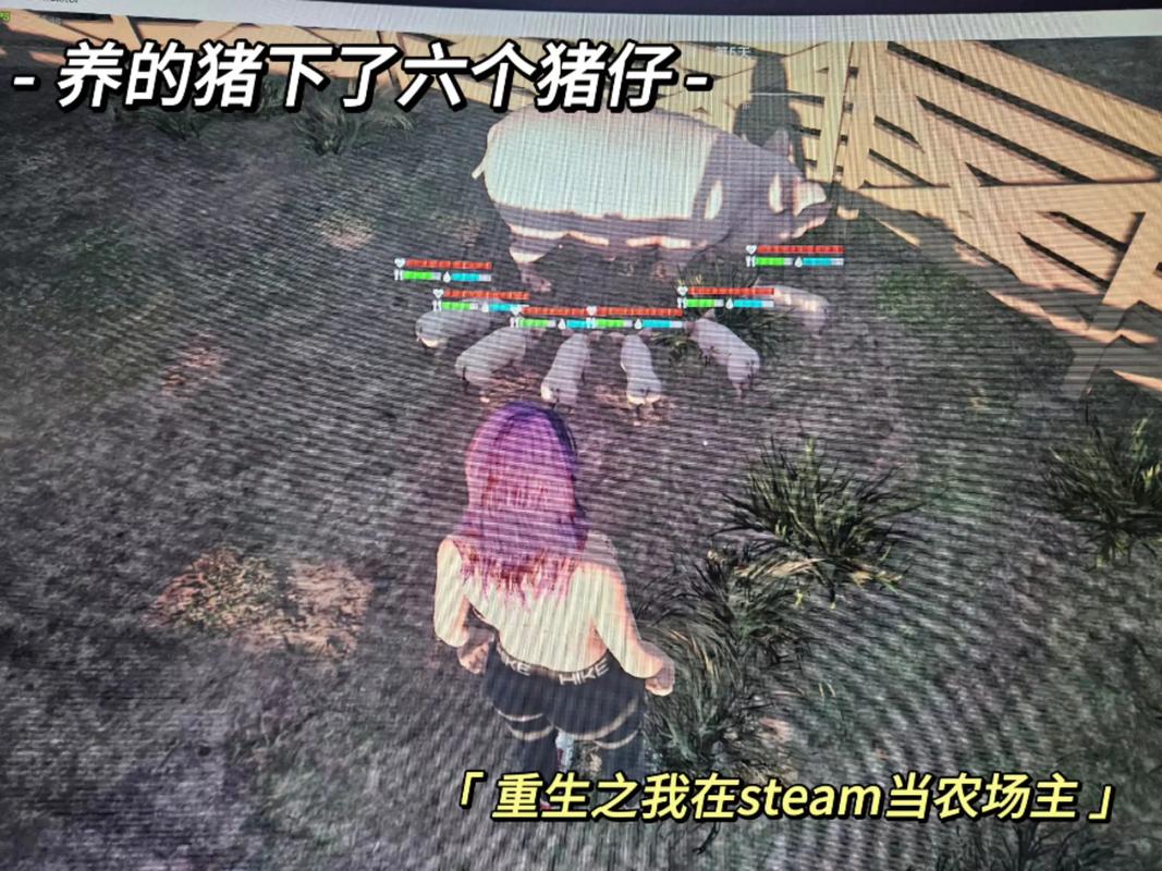 农场牧场偷匪外挂