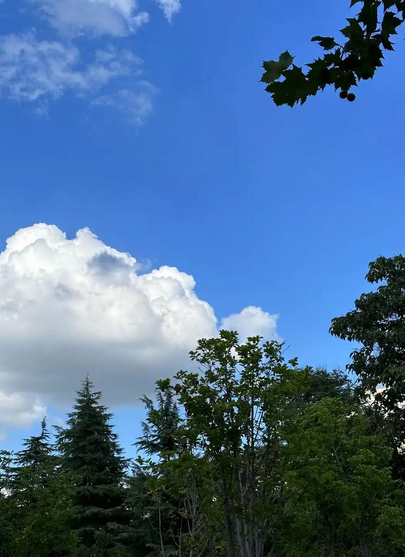 欢乐天空