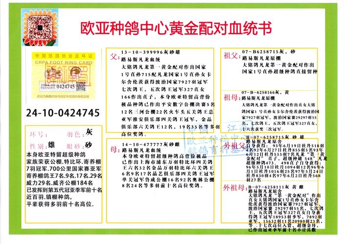 神机妙算官方网站